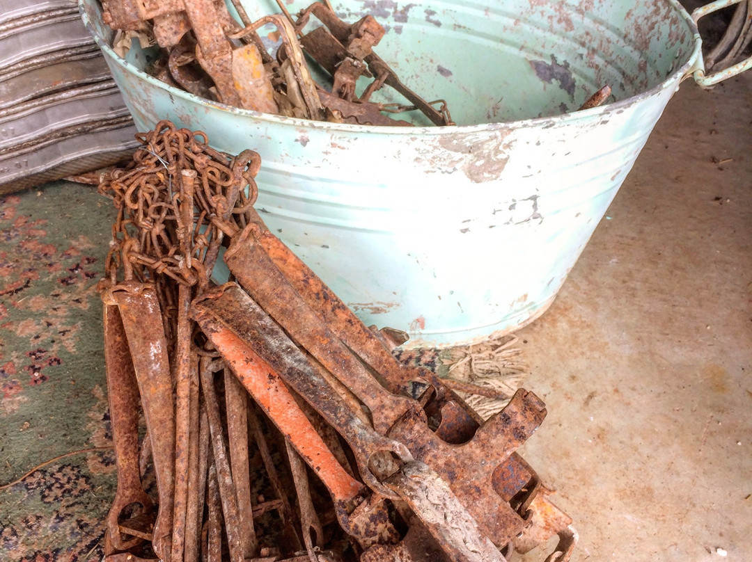 Scullery Days Vintage景点图片