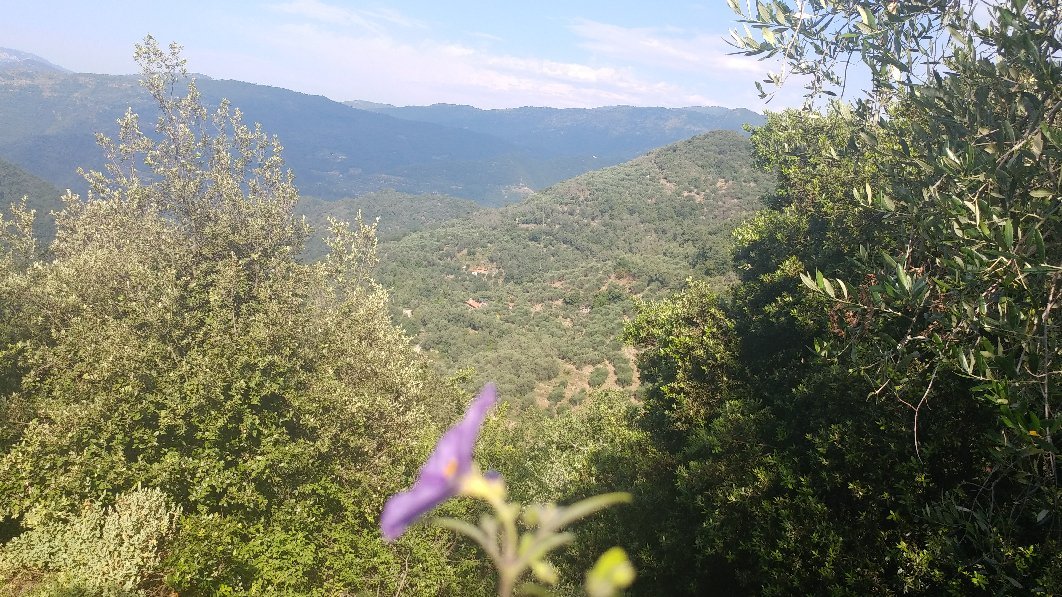 Agriturismo Terre Del Mistero-官方