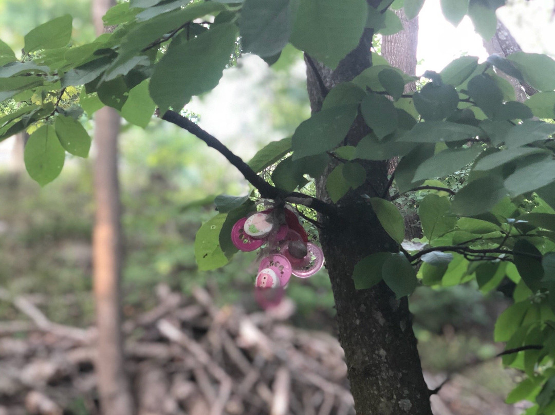 Ekebysjon Naturreservat-Danderyd必去景点