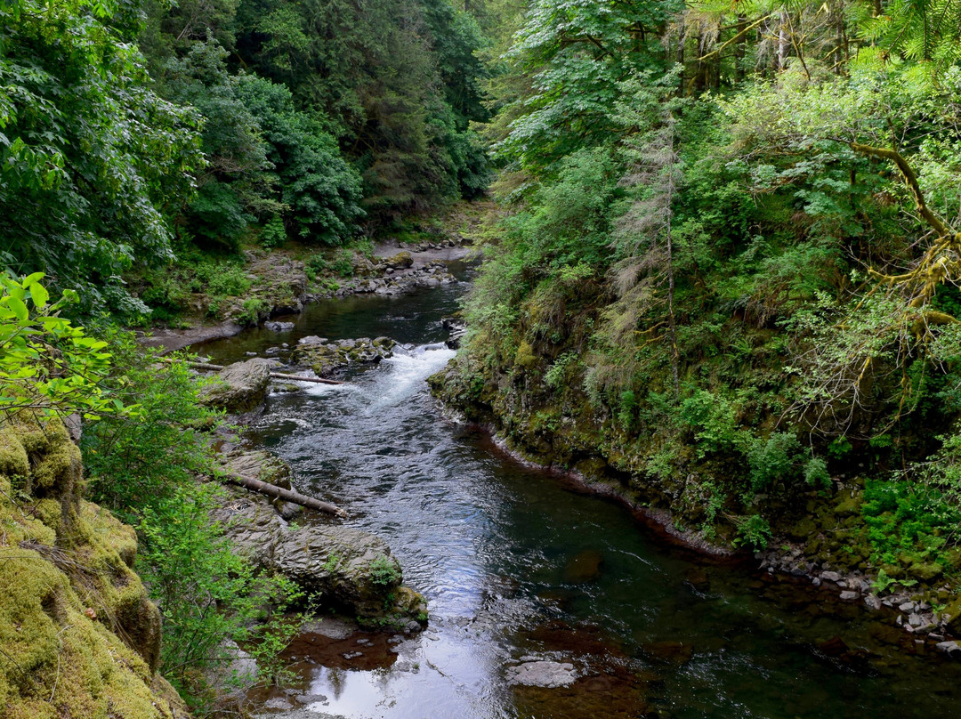 Moulton Falls Regional Park景点图片