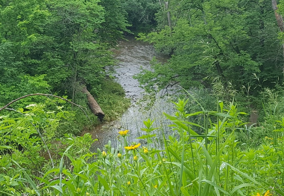 Waterfall Glen Forest Preserve-Darien必去景点