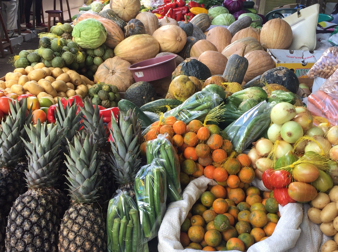 Ceasa-Vitoria da Conquista必去景点