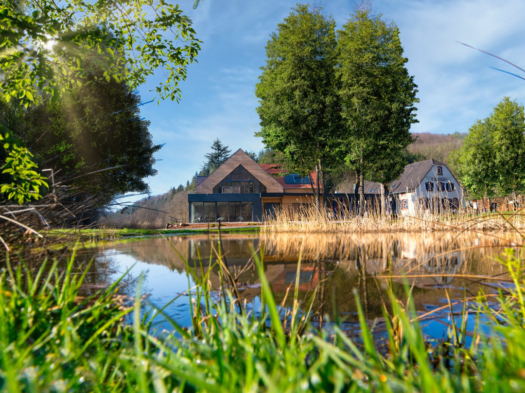 Massweiler酒店住宿-Landhotel Weihermuhle