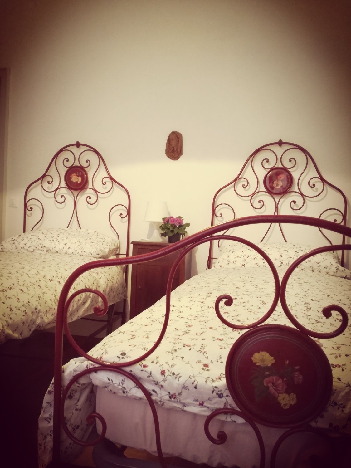 B&B Velocipede-官方