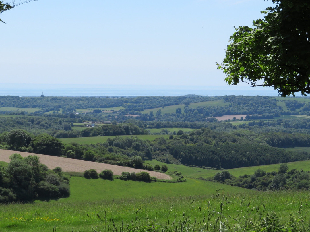 Chanctonbury Ring景点图片