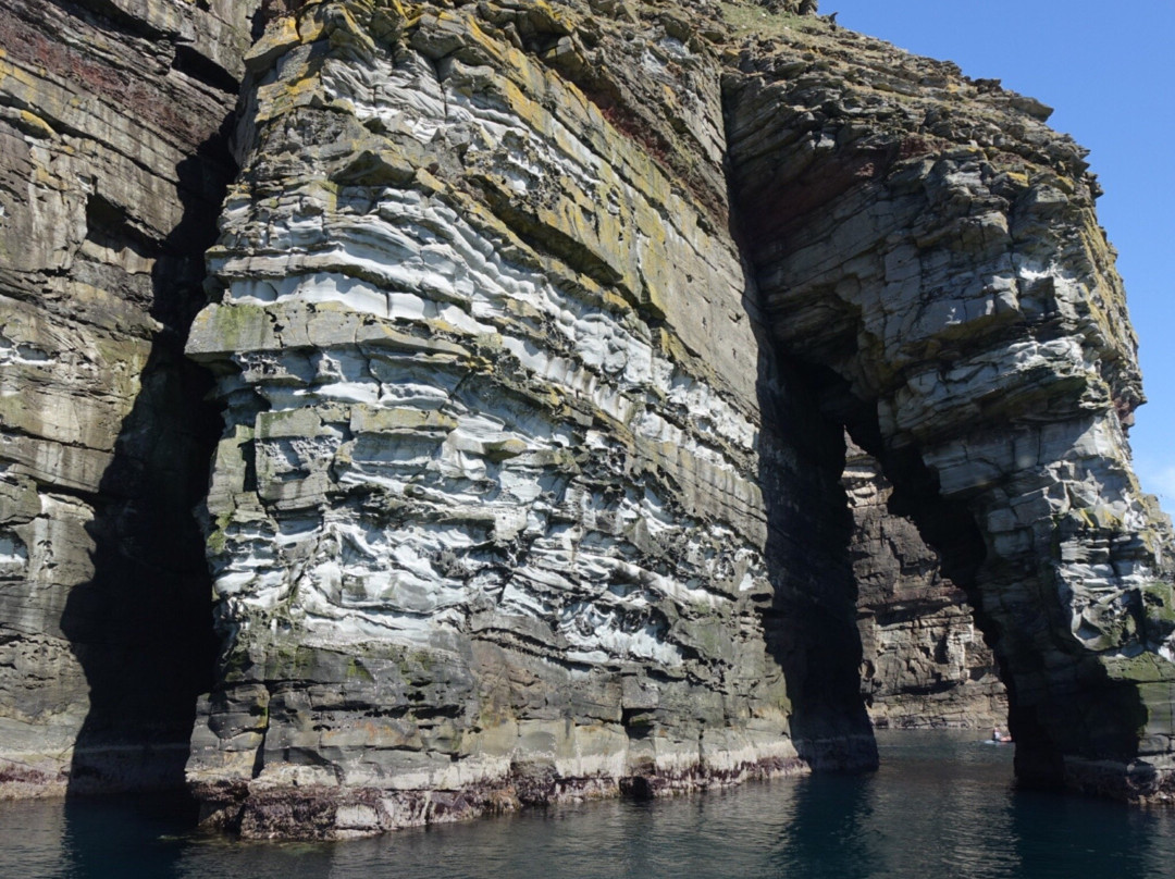 Shetland Wildlife Boat Tours景点图片
