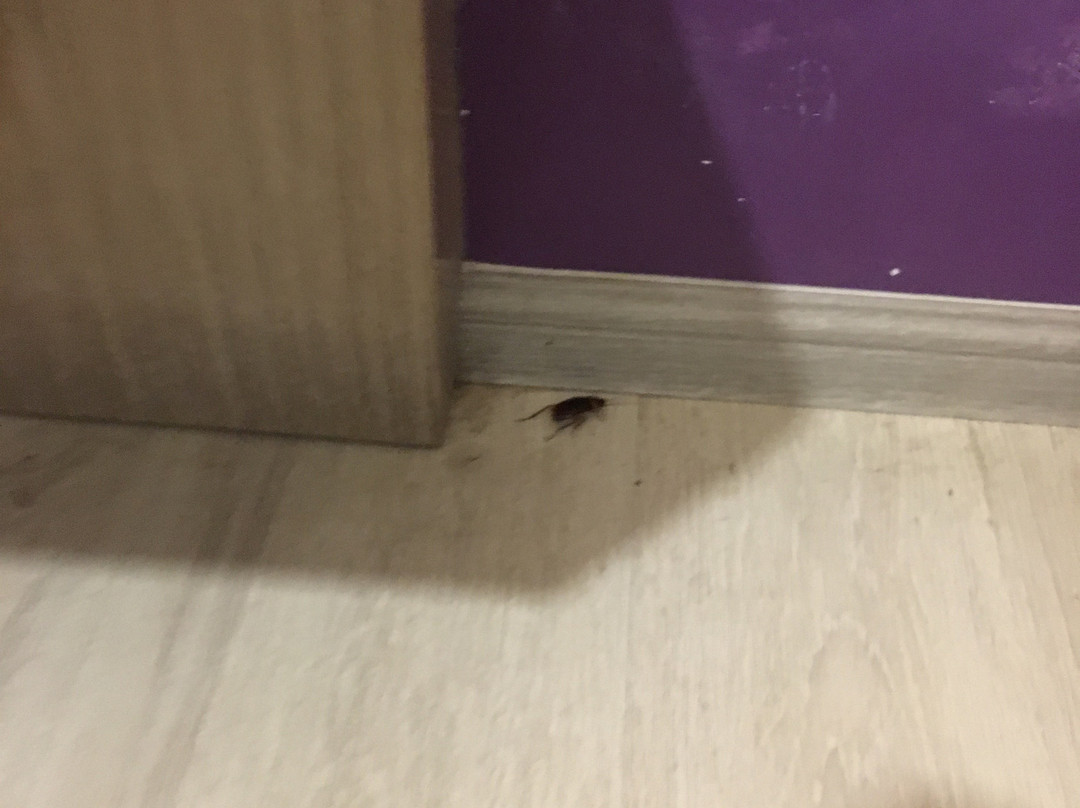 Ashley Boutique Hotel主图