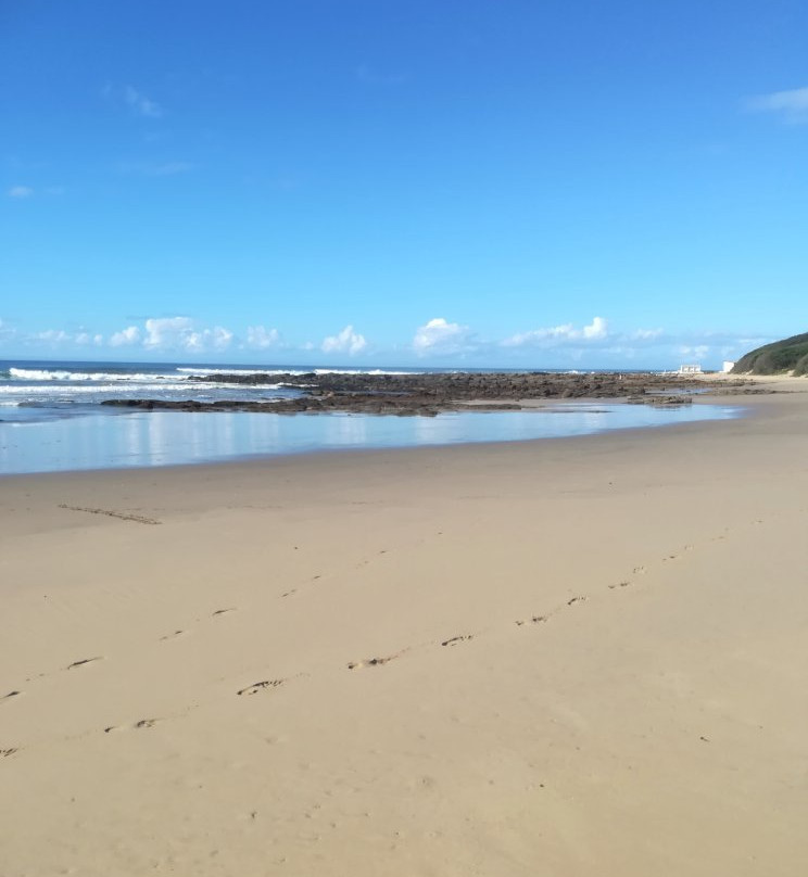 Milkwood on Main主图