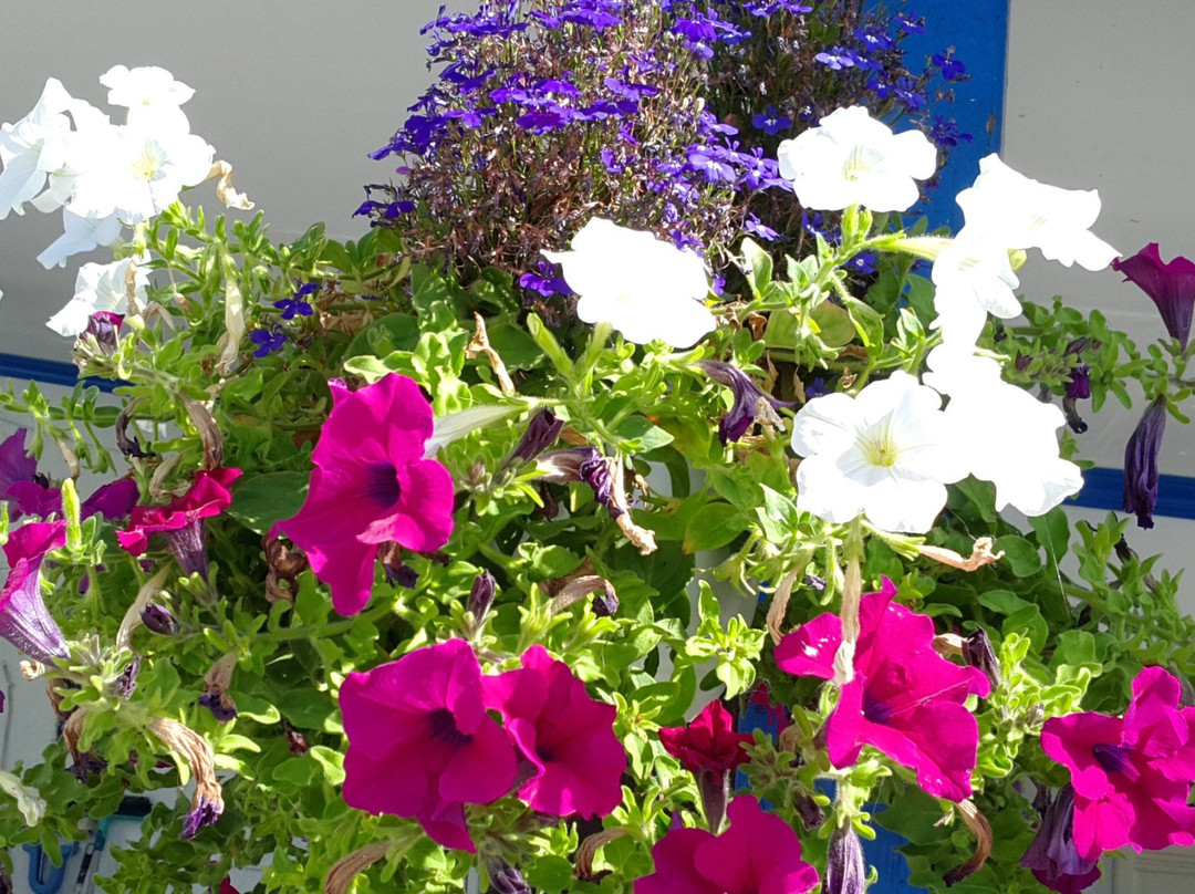 Paradis Studios主图