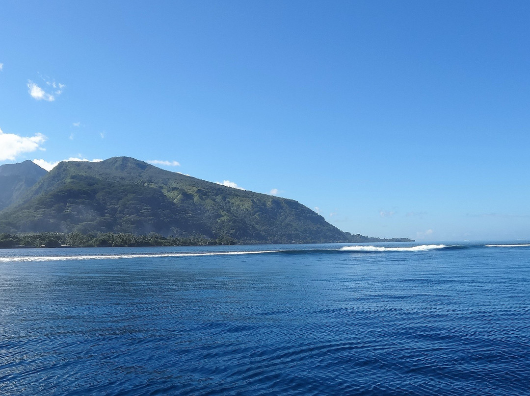 Tahiti iti Excursions景点图片