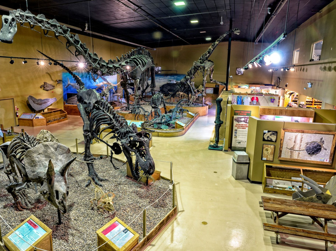Wyoming Dinosaur Center-瑟莫波利斯必去景点