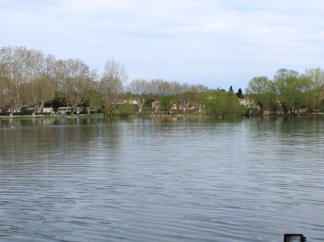 Lac de Besse-sur-Issole景点图片