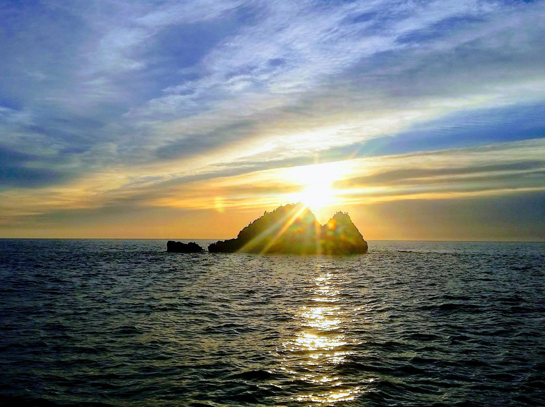 Mallorca Fishing Charter-爱博纳必去景点