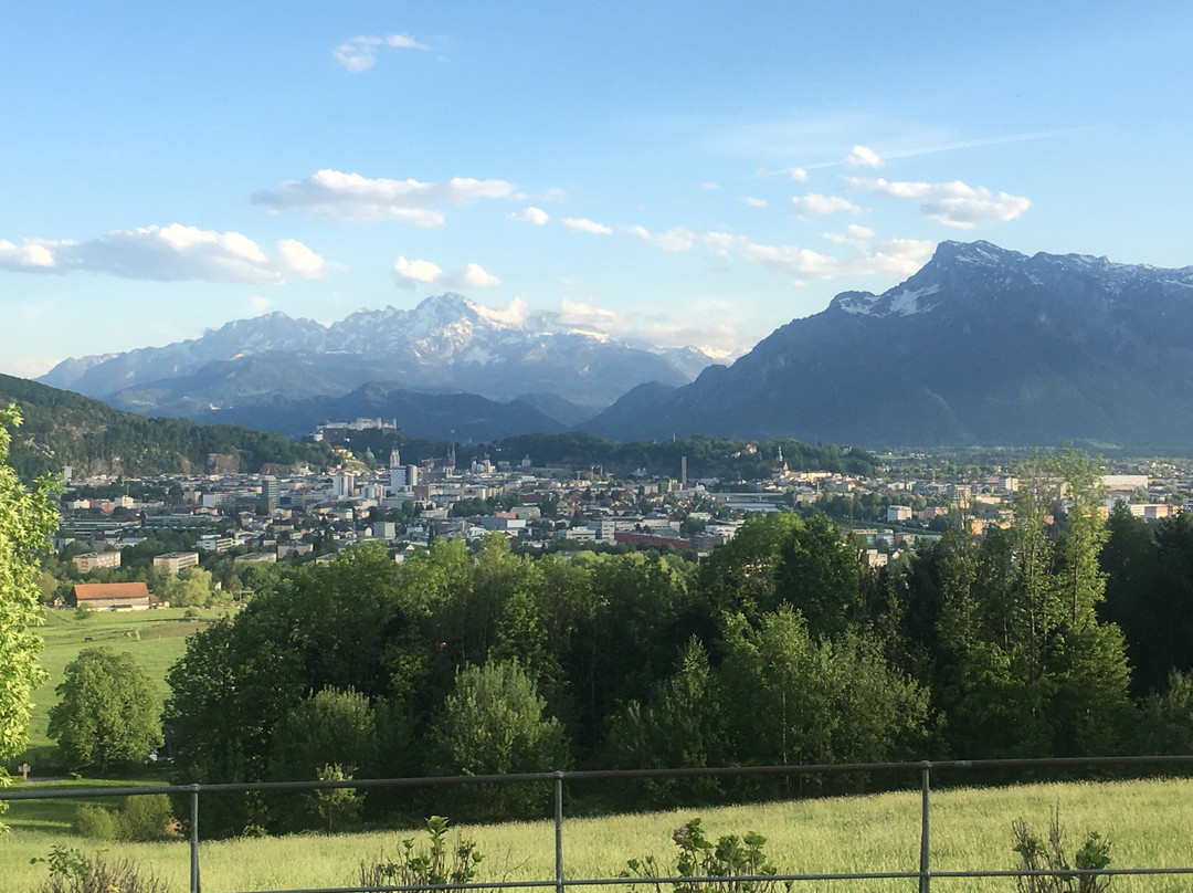 Bergheim旅游攻略图片