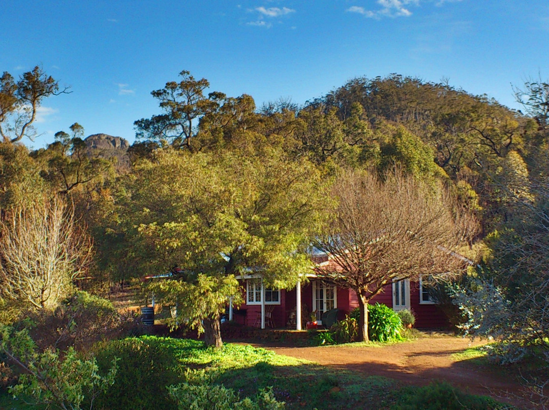 Thorn's Mountain Retreats