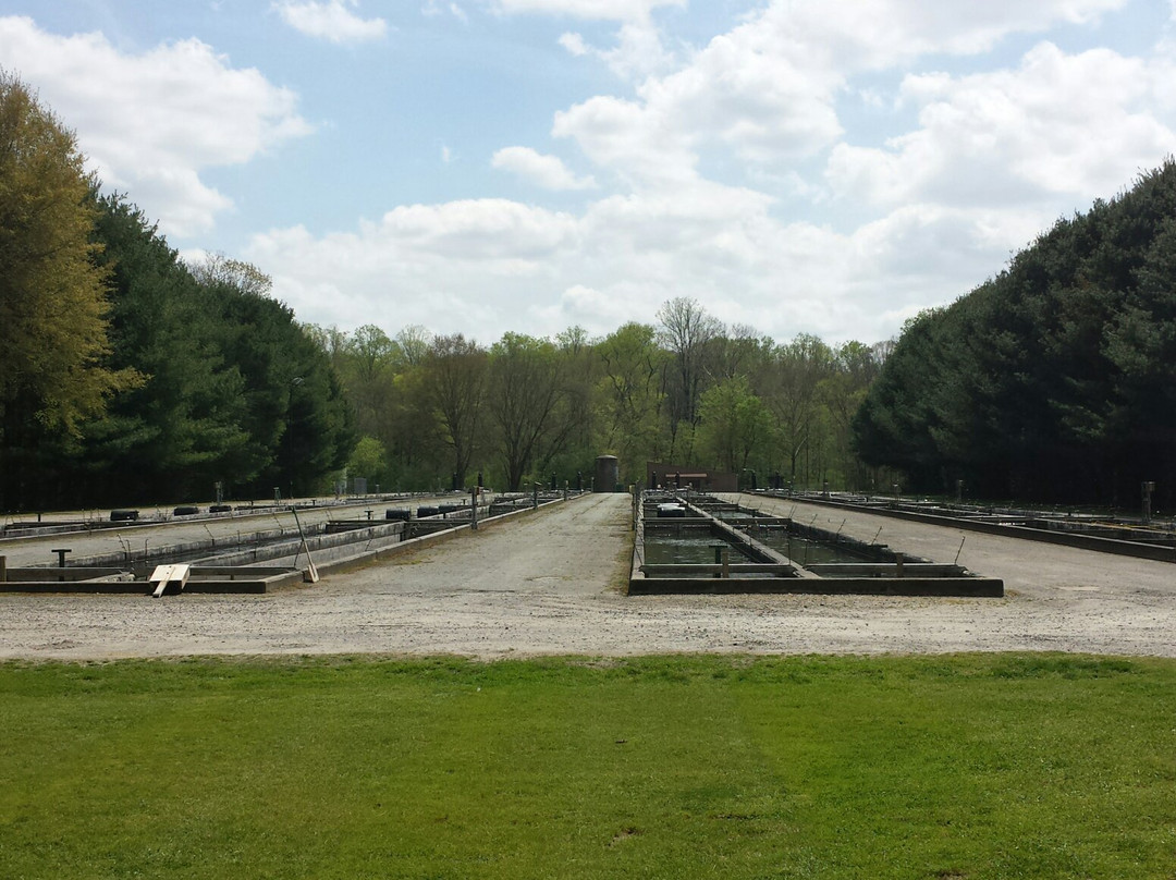 Buford Trout Hatchery-卡明必去景点