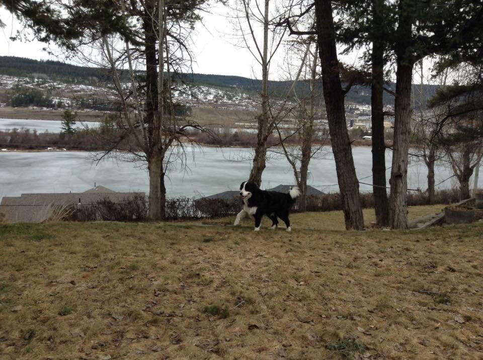 Lakeside Motel主图