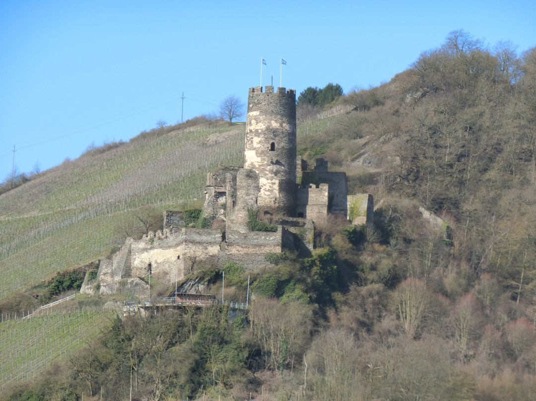 Oberheimbach旅游景点-Ruins Burg Furstenberg