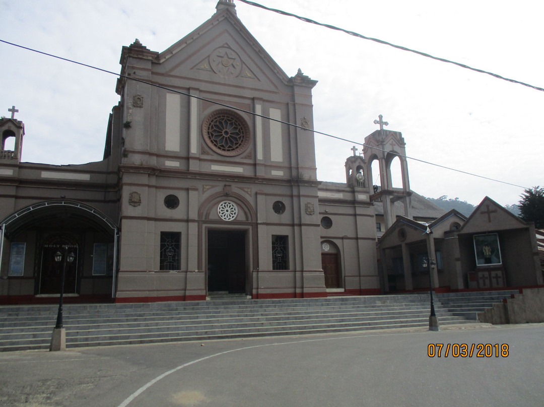 St Francis Xavier's church景点图片