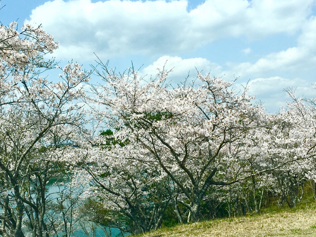 Ube Maruyama Dam-宇部市必去景点