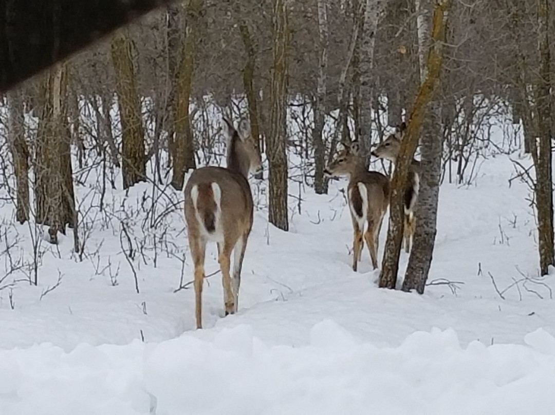 Stonewall Quarry Park-Stonewall必去景点