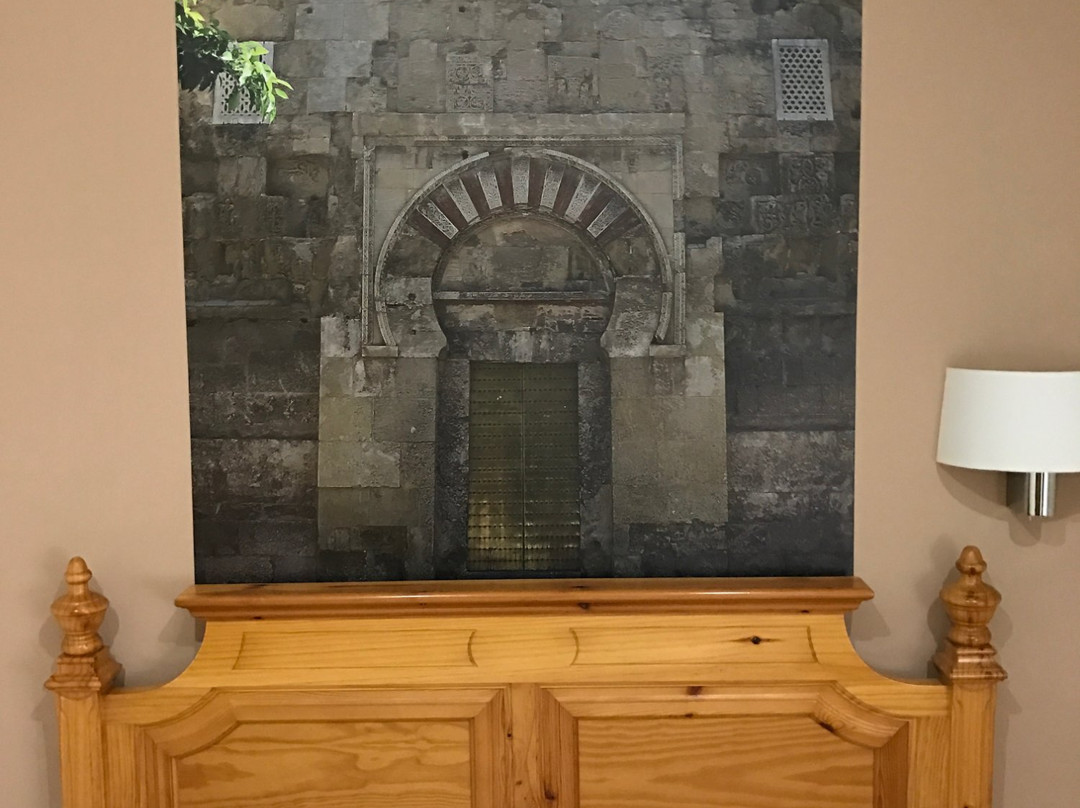 Hotel Maximiano Herculeo主图