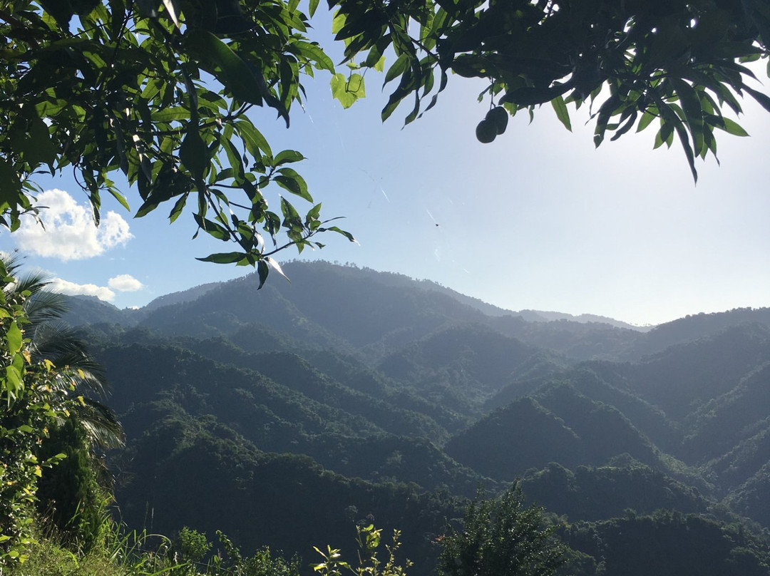 Tranquility Estate Bed & Breakfast主图