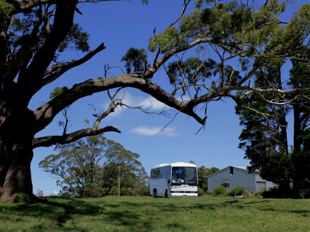 Maugers Paddock to Plate Tours-Robertson必去景点