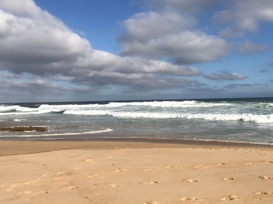 Lilies & Leopards B&B主图