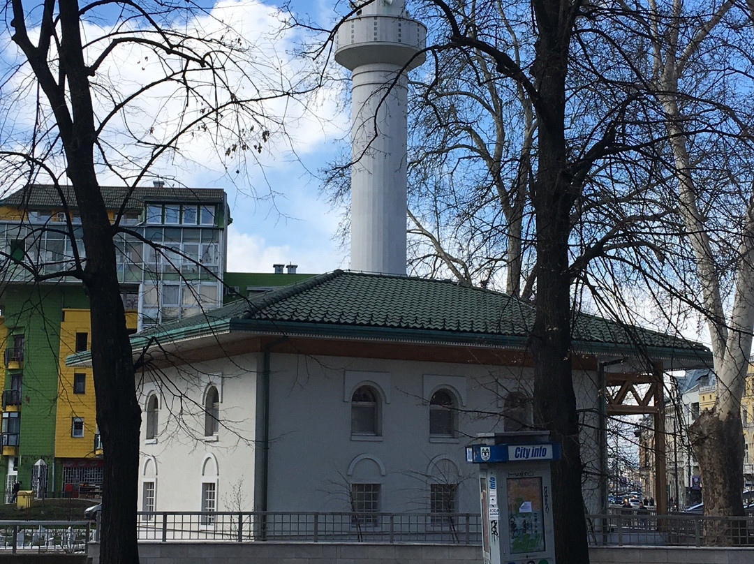 Bakr-Baba's Mosque景点图片