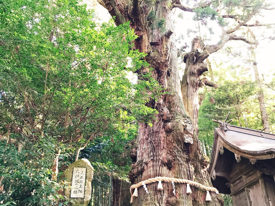 Ogosha Shrine景点图片