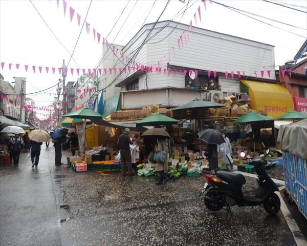 Kofukuji Matsubara Shopping Street景点图片
