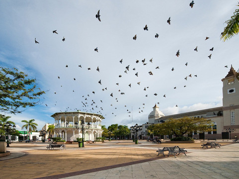 MSTOURSPOP Private tours-普拉塔港必去景点