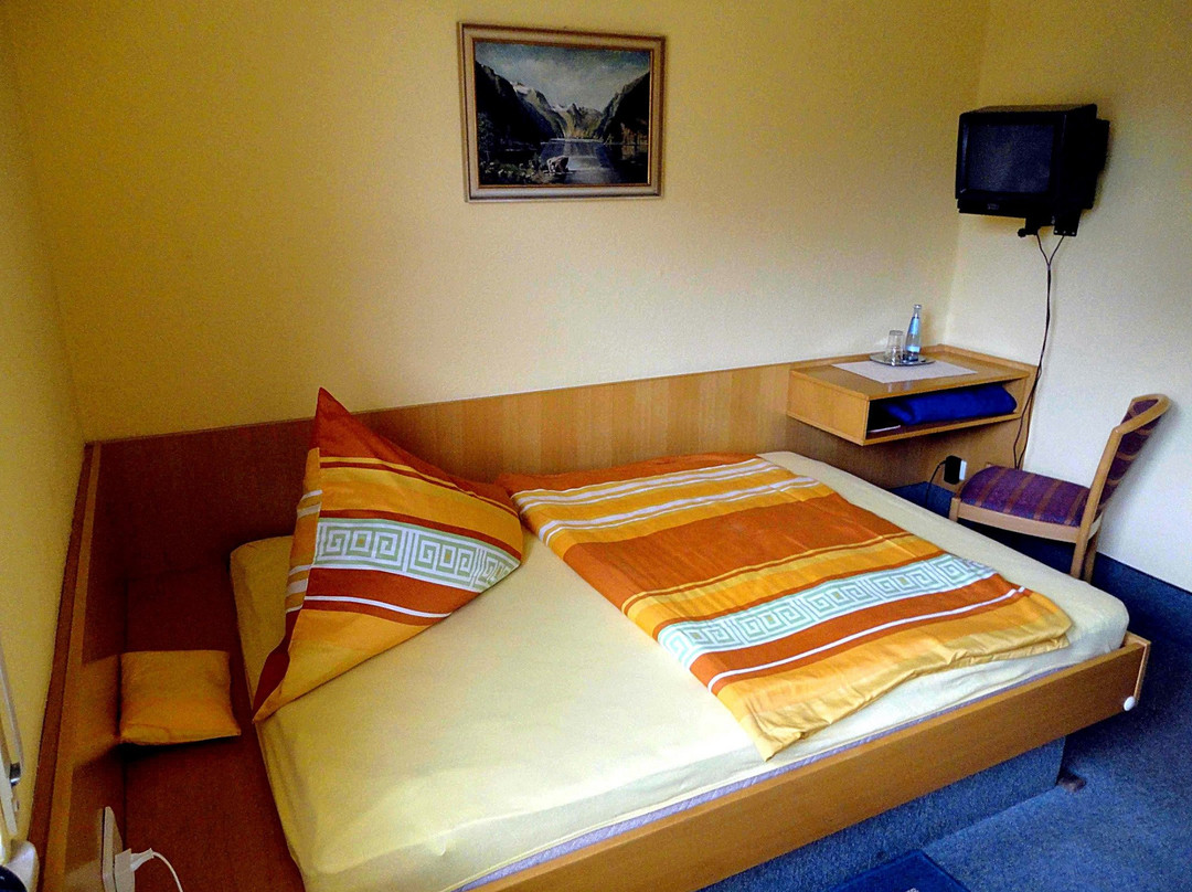 Hotel Pension "Waldgasthof Friedrichsberg"主图