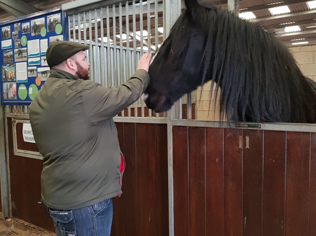 World Horse Welfare Penny Farm景点图片