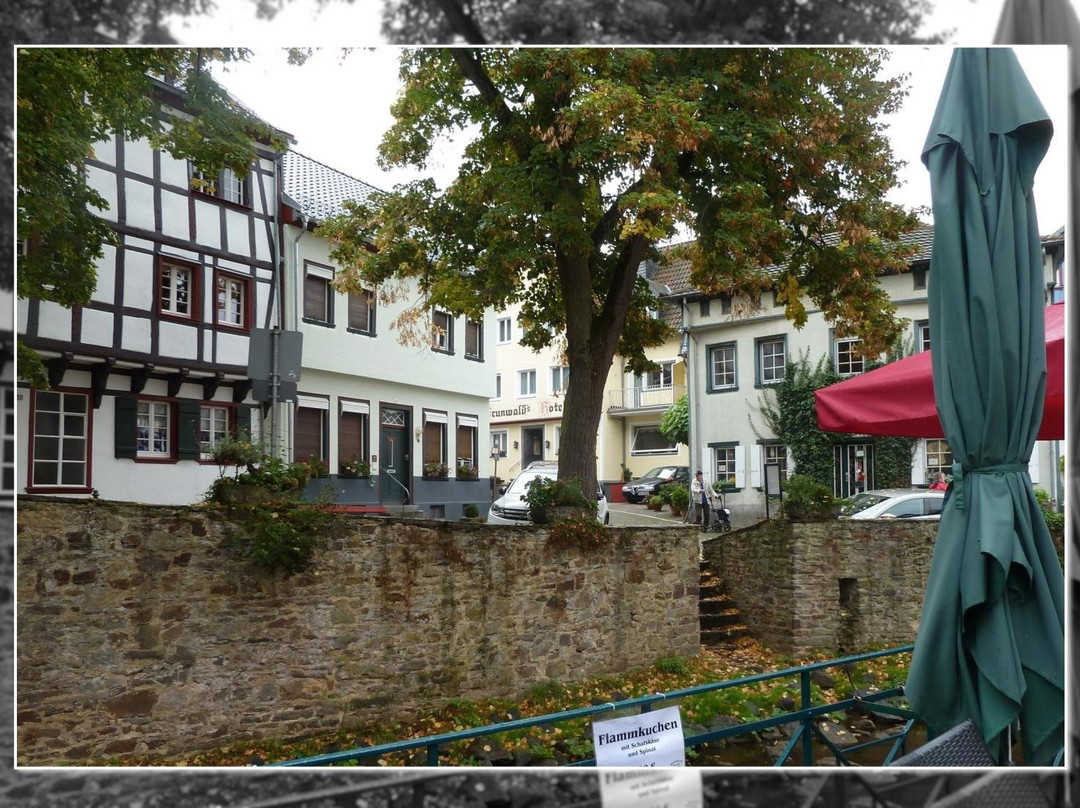 Hotel Grunwald主图