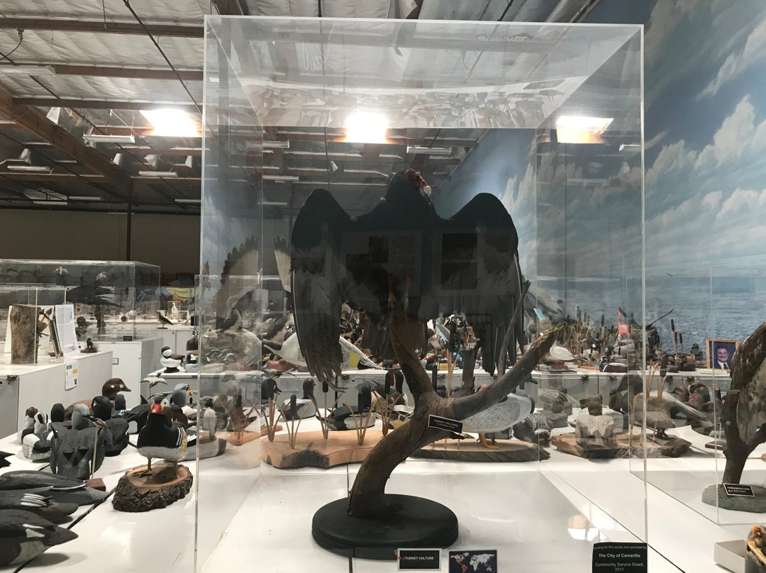 The Western Foundation of Vertebrate Zoology-卡马里奥必去景点
