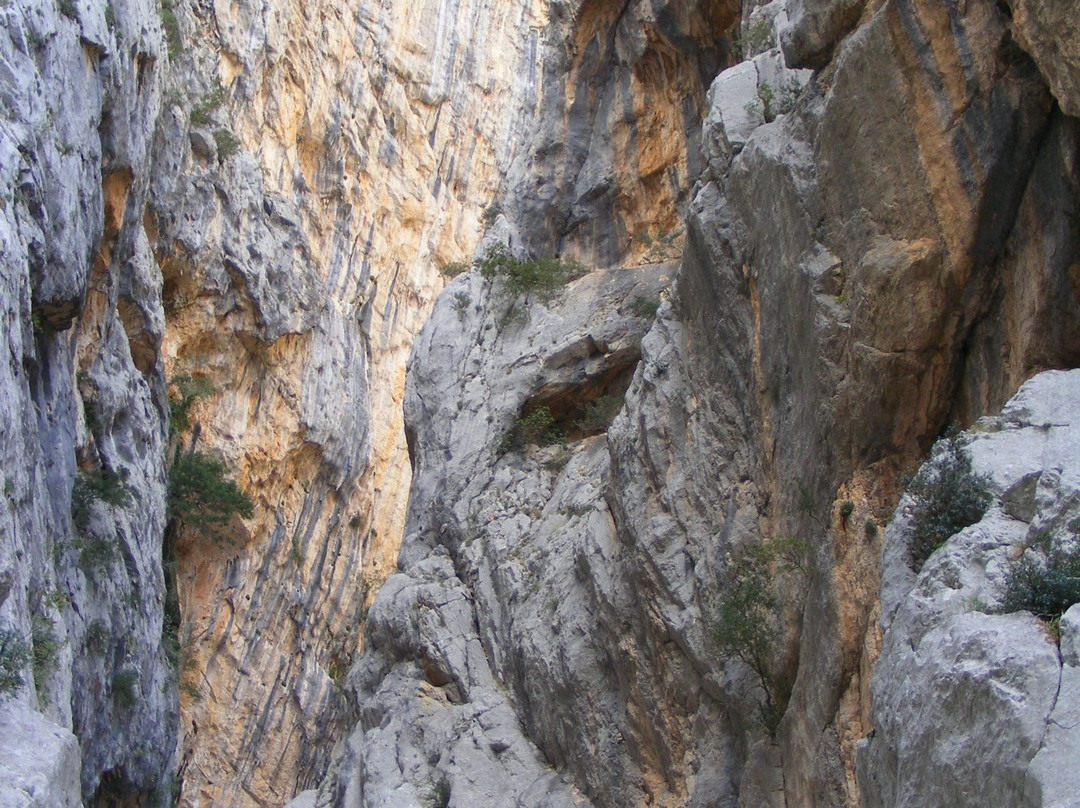 Fortieventi-奥尔比亚必去景点