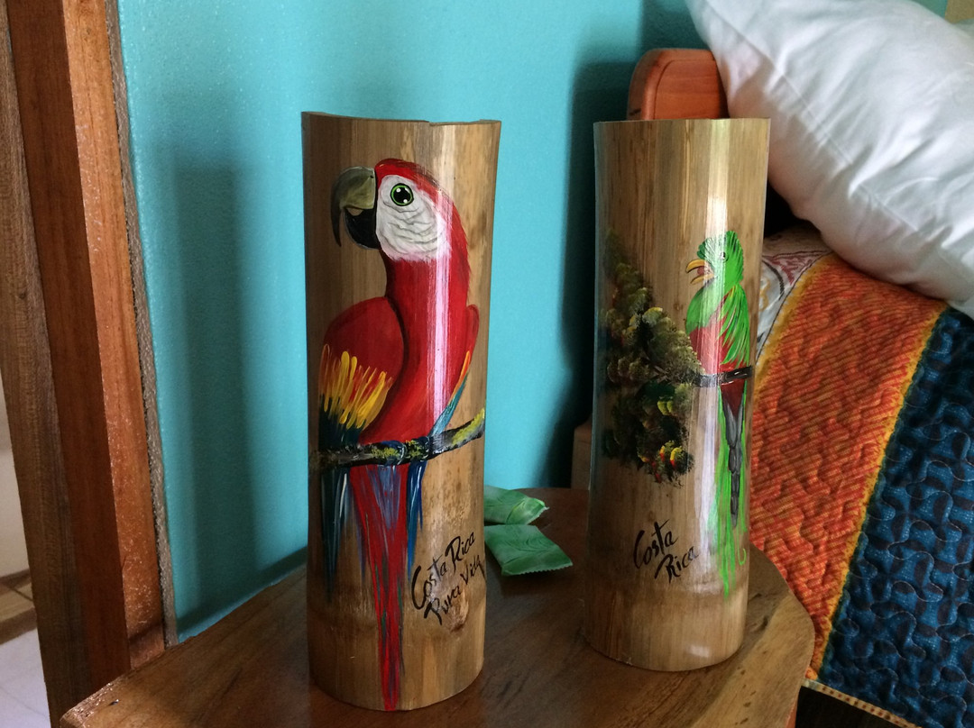 Cabinas Cascada Rio Celeste主图