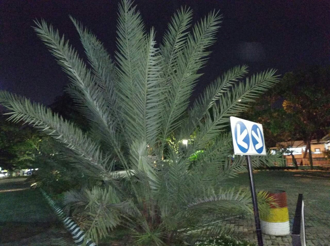 Al-Falah Darul Muttaqin Mosque-北干巴鲁必去景点