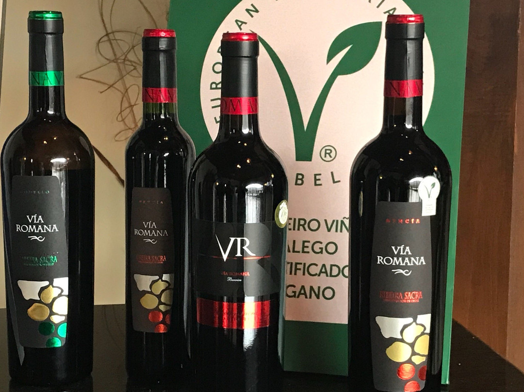 Via Romana Adegas e Vinedos-Chantada必去景点