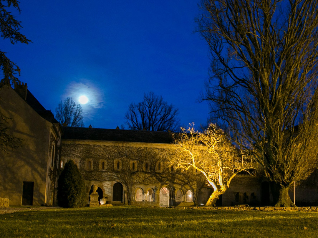 Abbaye Cistercienne de L'Escaladieu景点图片