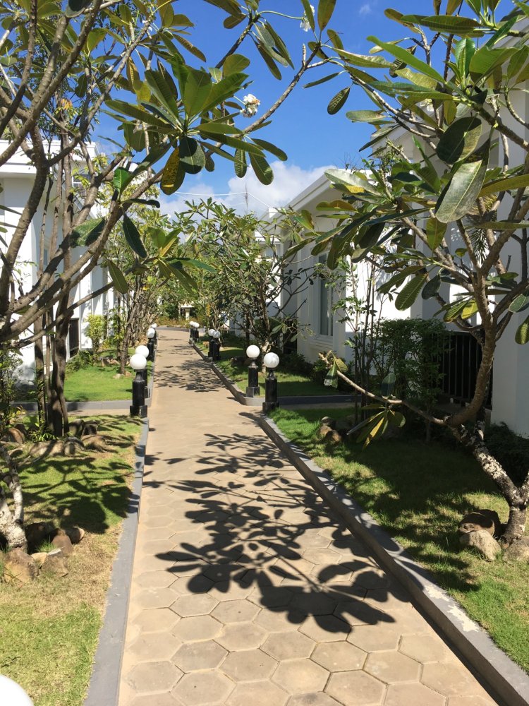 Mangrove River Resort-酒店景观