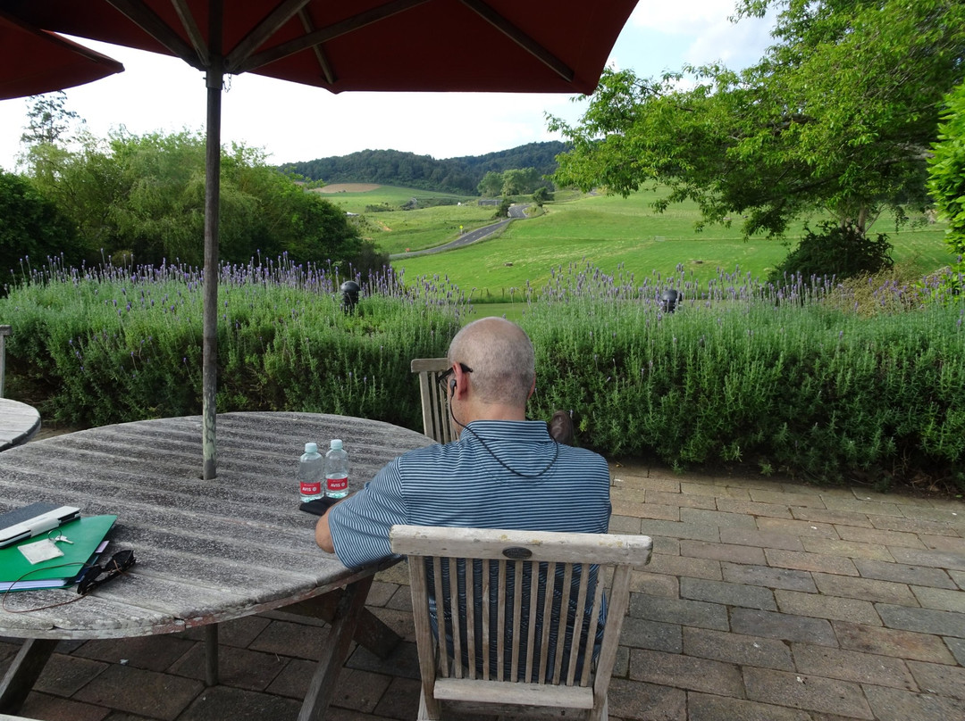 Out in the Styx Guesthouse主图