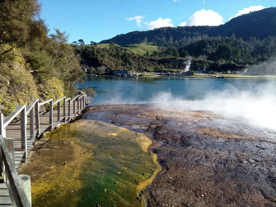 Real Kiwi Tours景点图片