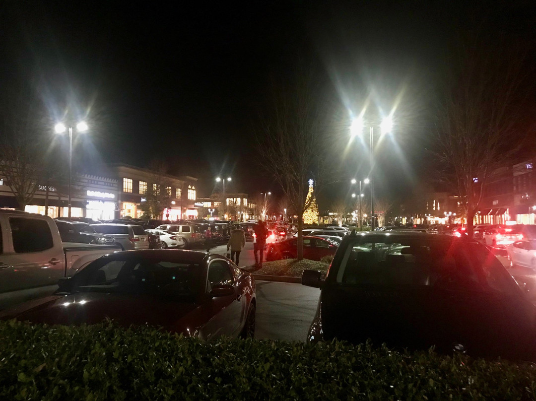 The Collection at Forsyth-卡明必去景点