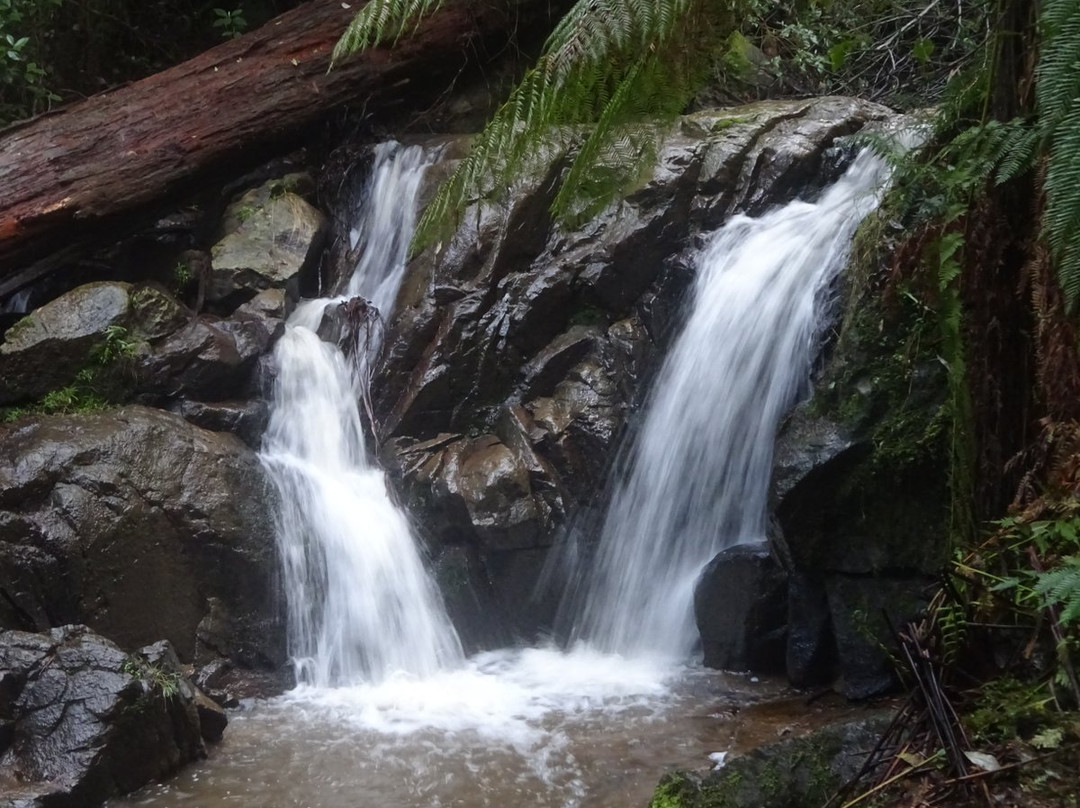奥林达旅游攻略图片
