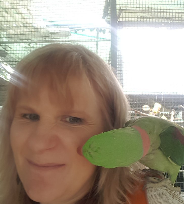 Parrots in Paradise景点图片