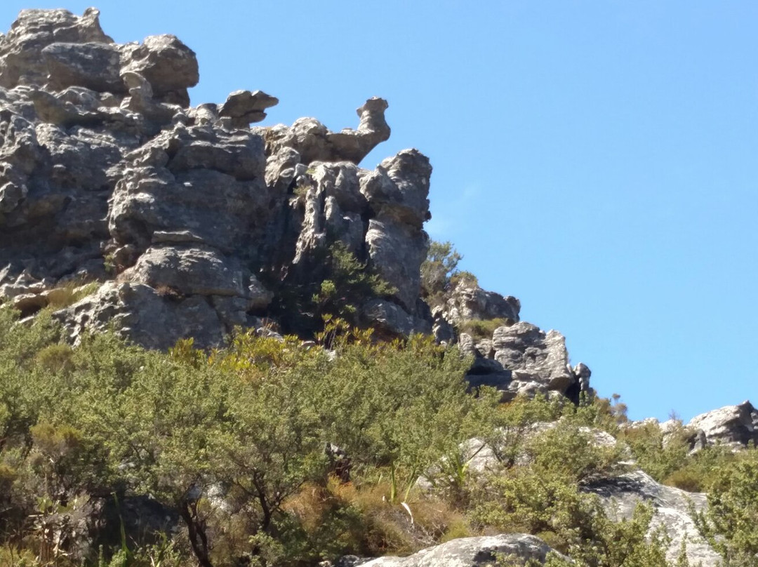 Slackpacker SA-Kenilworth必去景点