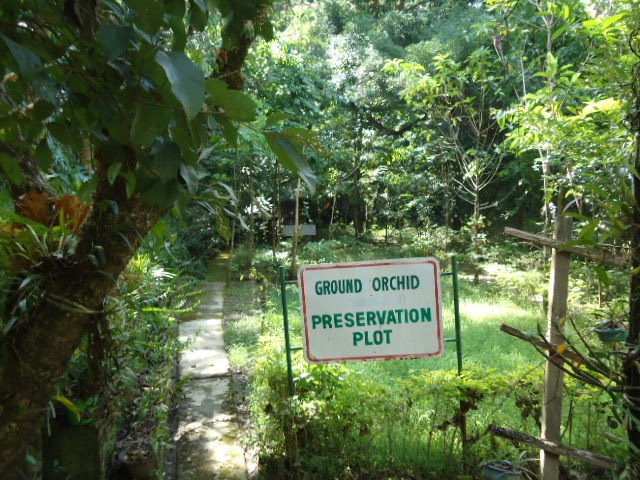 Khonghampat Orchidarium-因帕尔必去景点